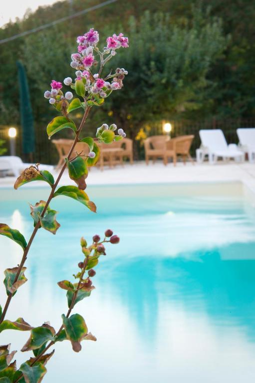 Agriturismo Ca' Montioni Guest House Mercatello sul Metauro Екстериор снимка